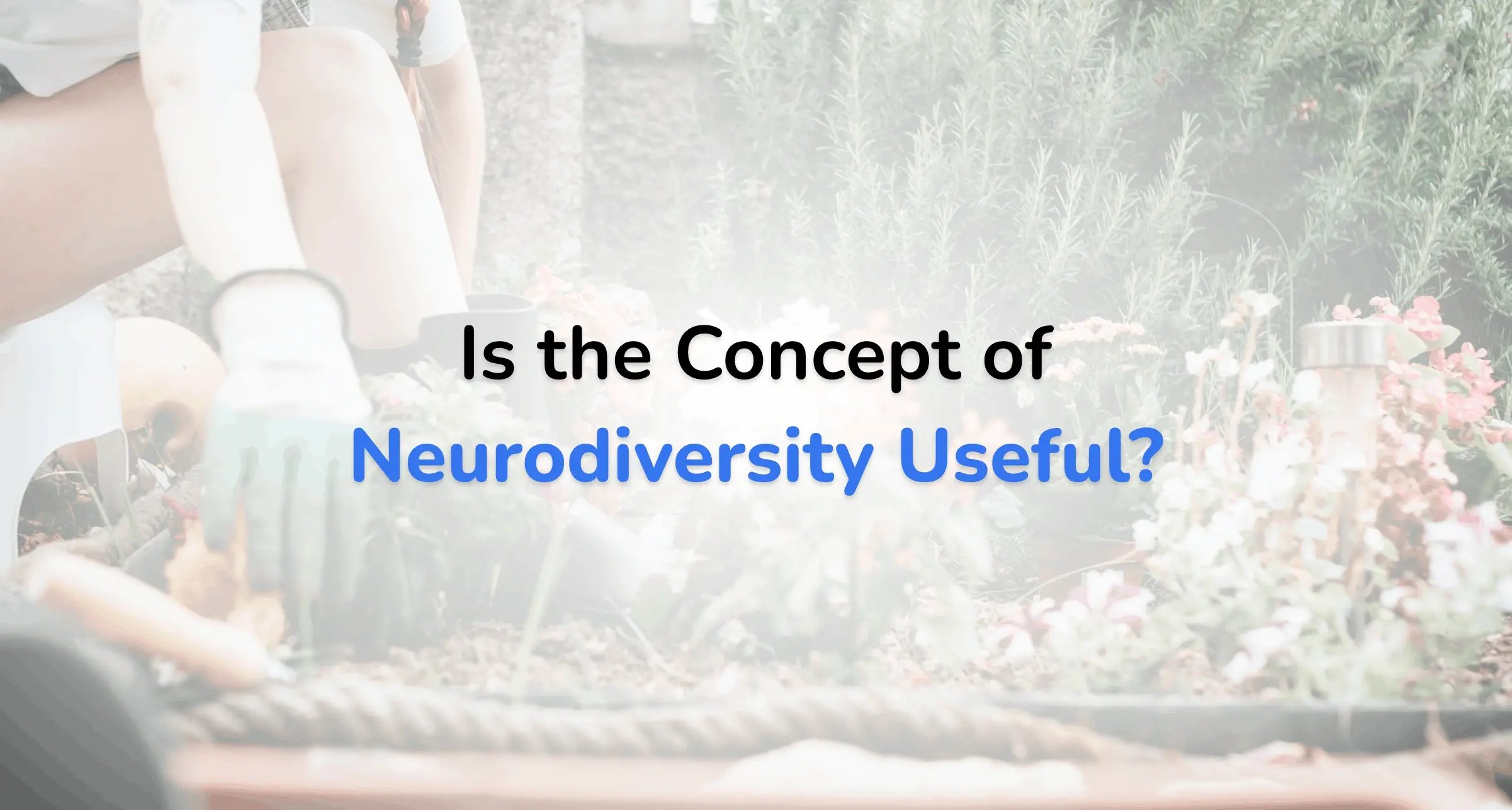 Blog cover image