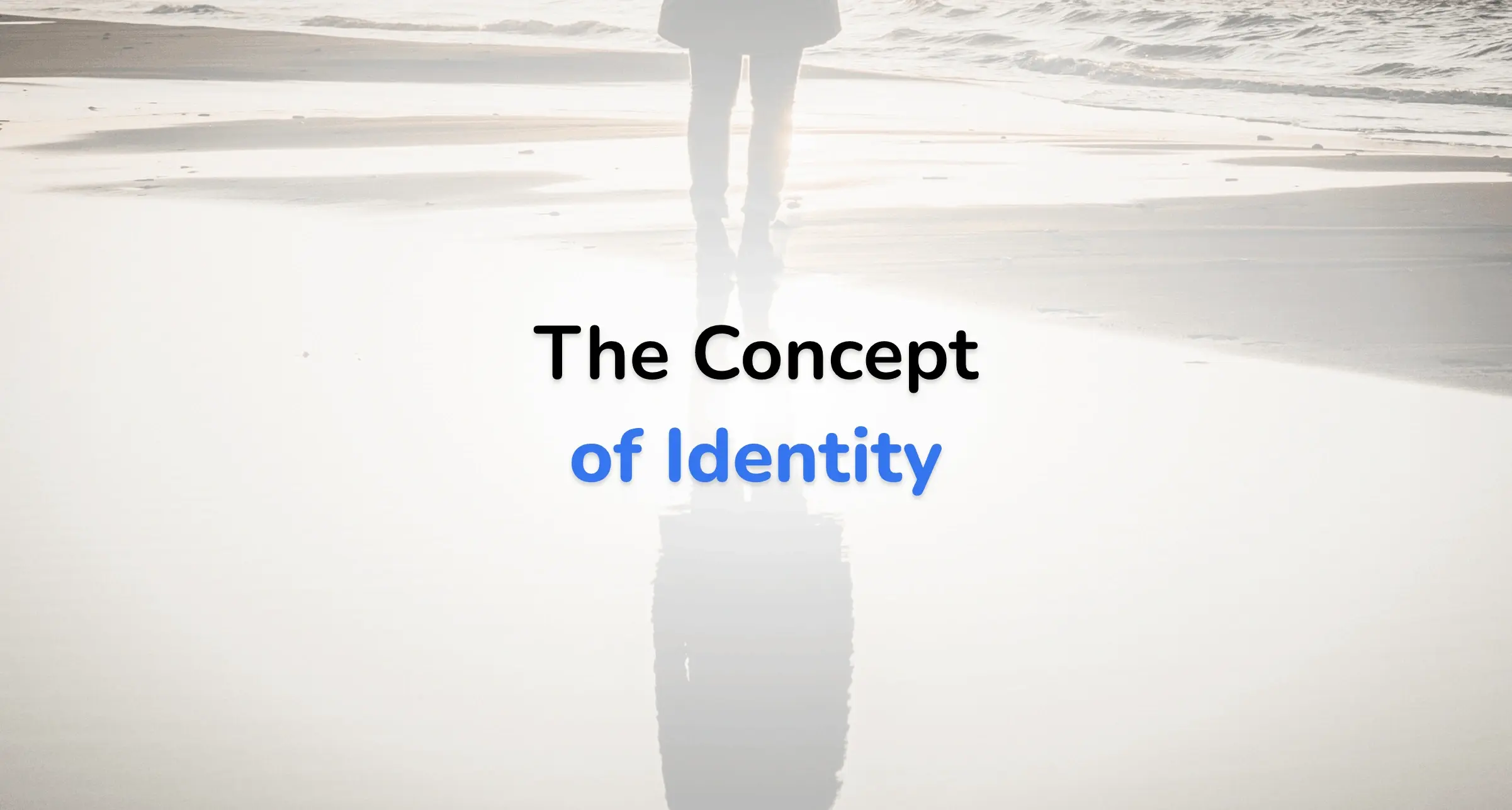 The Concept of Identity